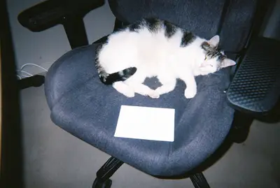Frame 108 of 209, roll 1