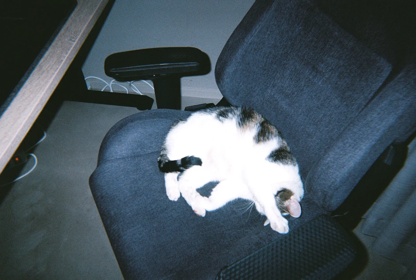 Frame 190 of 209, roll 1