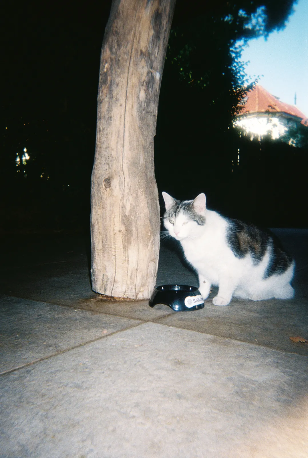 Frame 114 of 209, roll 7