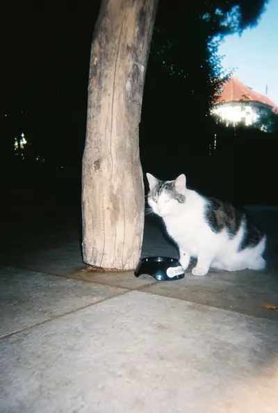 Frame 114 of 209, roll 7