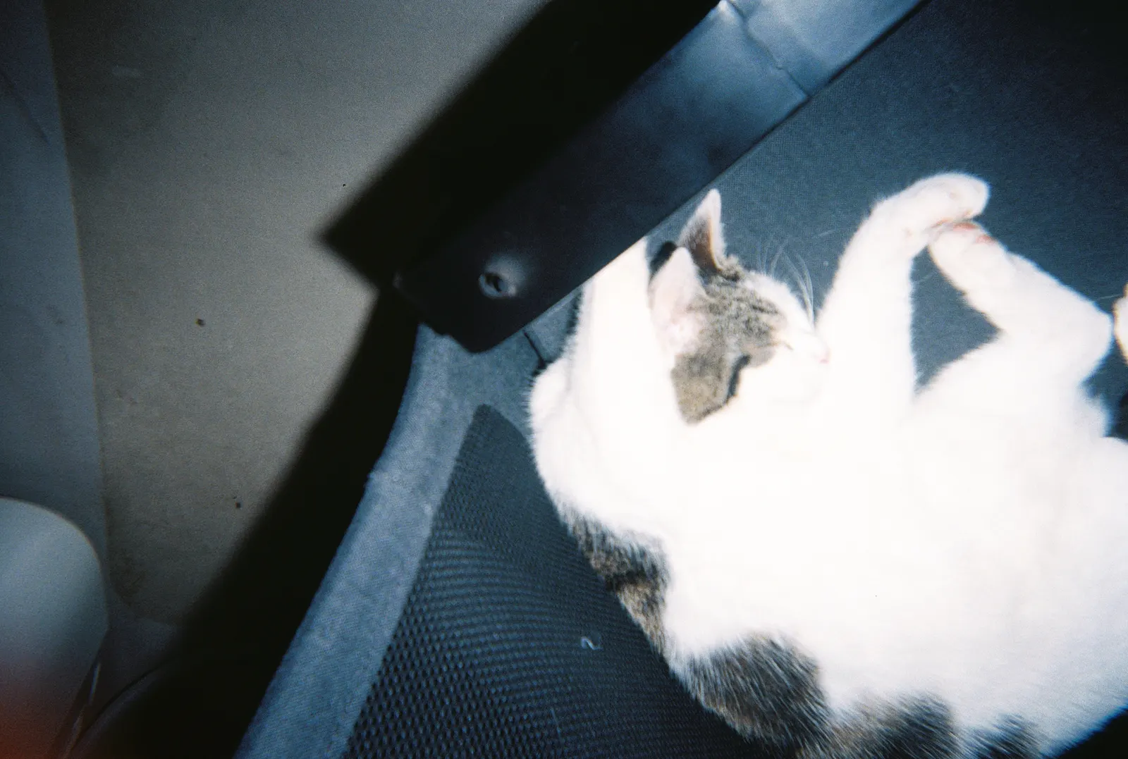 Frame 205 of 209, roll 8