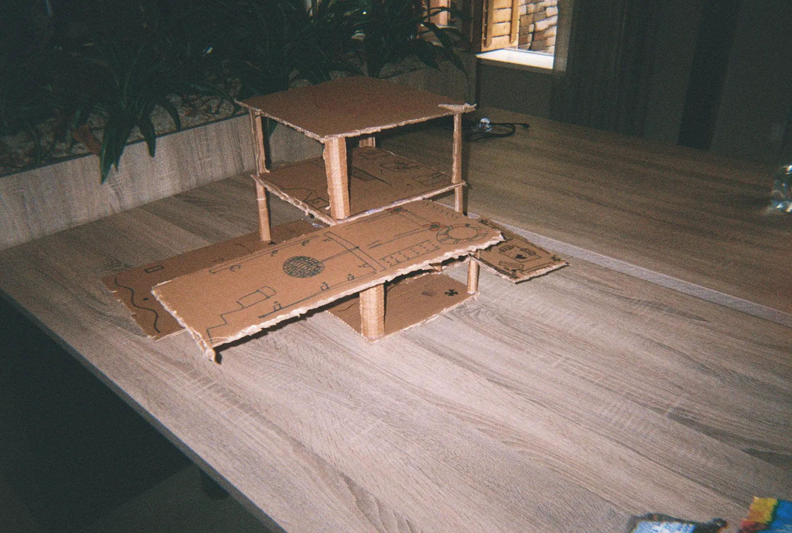 Frame 123 of 209, roll 8