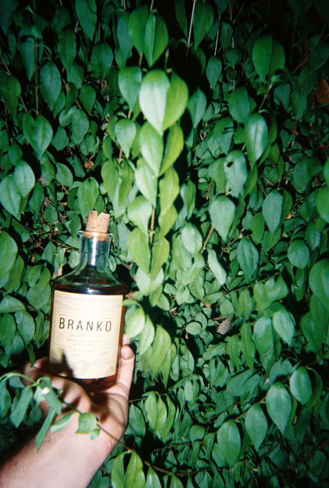 Frame 160 of 209, roll 9