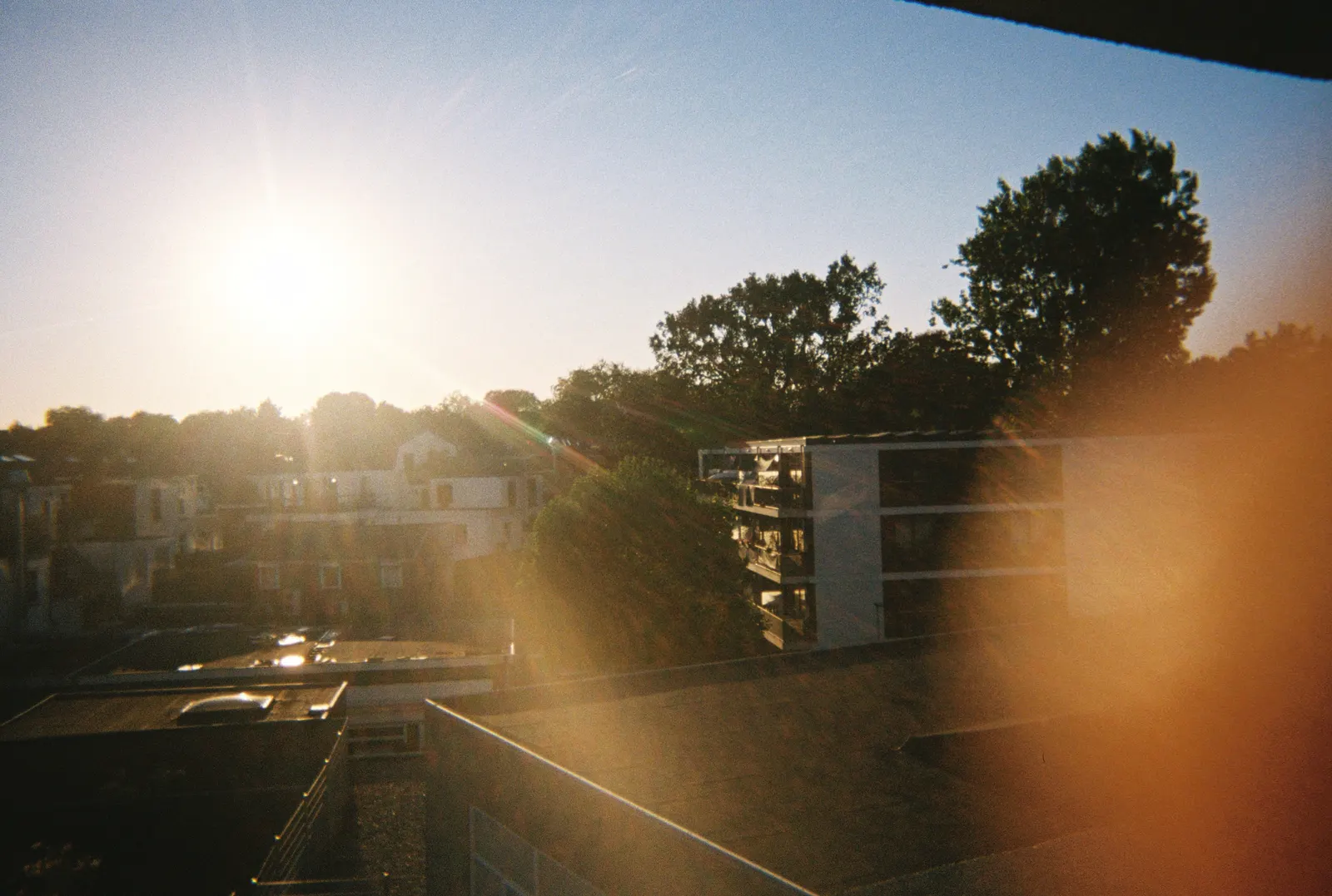 Frame 82 of 209, roll 12