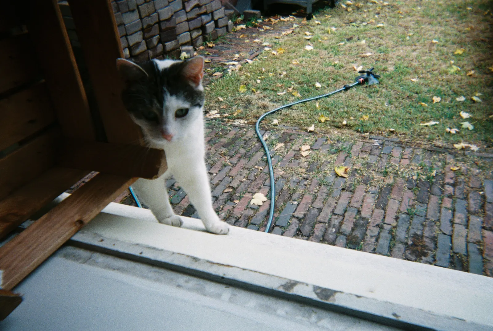 Frame 167 of 209, roll 12