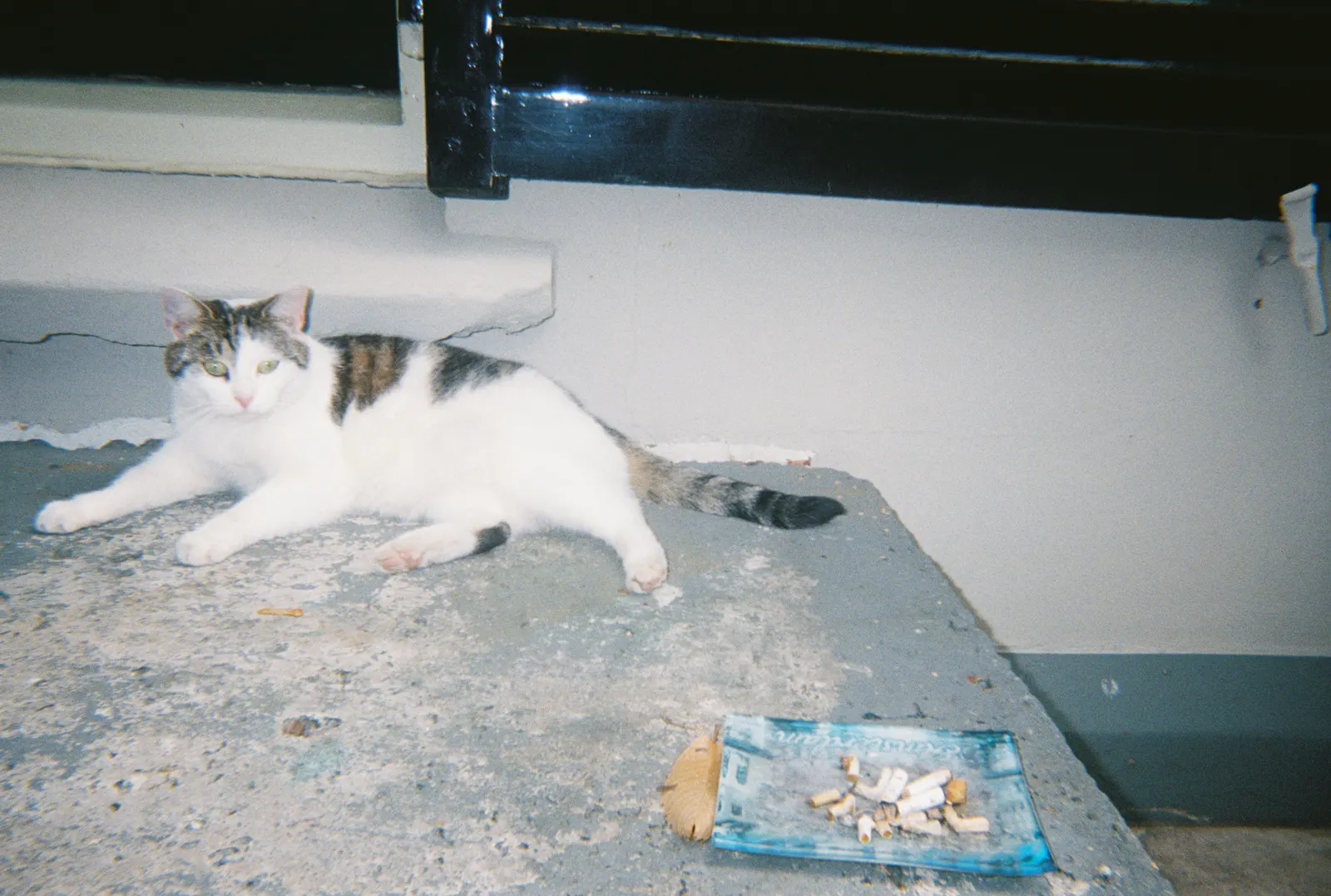Frame 159 of 209, roll 14