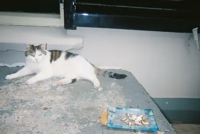 Frame 159 of 209, roll 14